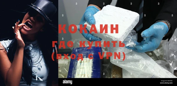 сатива Болотное