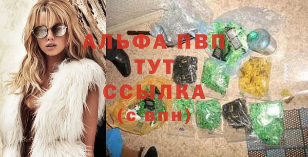 прущие крисы Корсаков