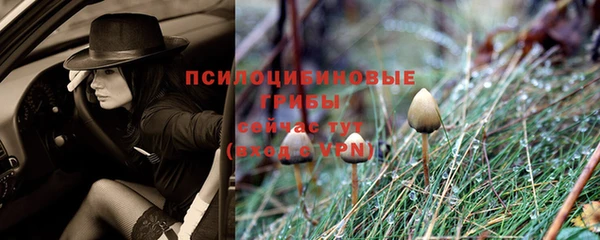 apvp Валуйки