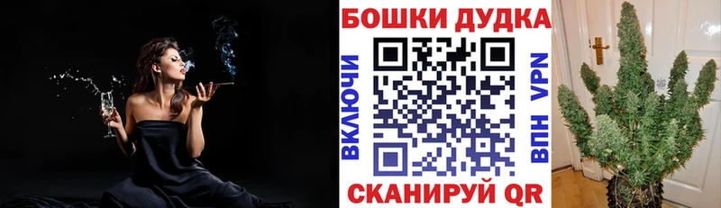 Купить закладки  Балтийск  Шишки марихуана OG Kush 